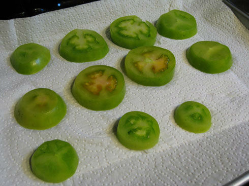 Read more about the article Fried Green Tomatoes – in Winter?