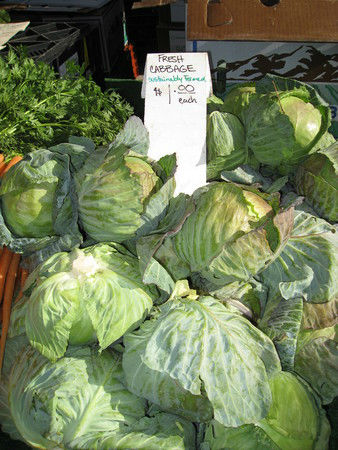 Read more about the article Cabbage Ideas for St. Patty’s Day