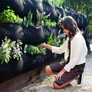veggie_wally_garden_300