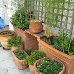 Ask Gardenerd: Preventing Compacted Soil in Pots