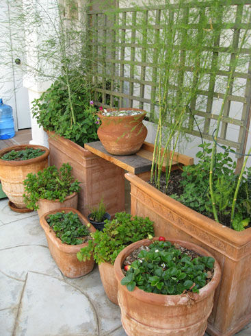 Read more about the article Ask Gardenerd: Preventing Compacted Soil in Pots