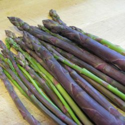 Ask Gardenerd: Asparagus – To Prune or Not to Prune?