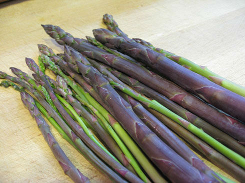 Read more about the article Ask Gardenerd: Asparagus – To Prune or Not to Prune?