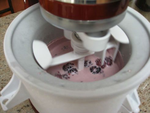 Read more about the article In Season: Blackberry Ice Cream
