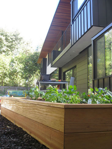 Read more about the article New Garden: The Modern Parallelogram