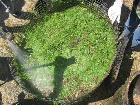 The Compost Chopper Stands Against Clumps 