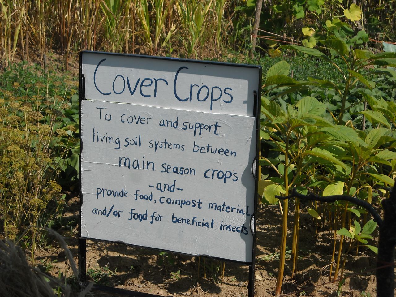 Cover Crop sign from garden tour