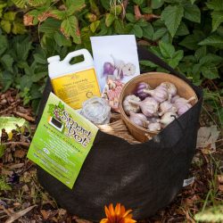 It’s a Garlic Planting Party – Win a Party Prize Package!