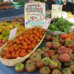 Field Trip: Santa Cruz Farmers’ Market