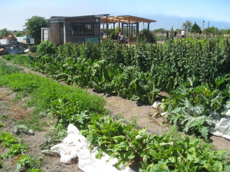 Field Trip Natural Bridges Farm