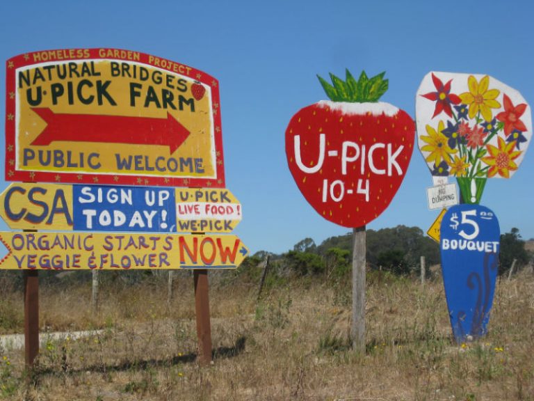 Field Trip Natural Bridges Farm