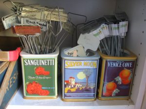 Plant markers organized in vintage jars