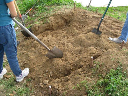 Sandy soil from the site