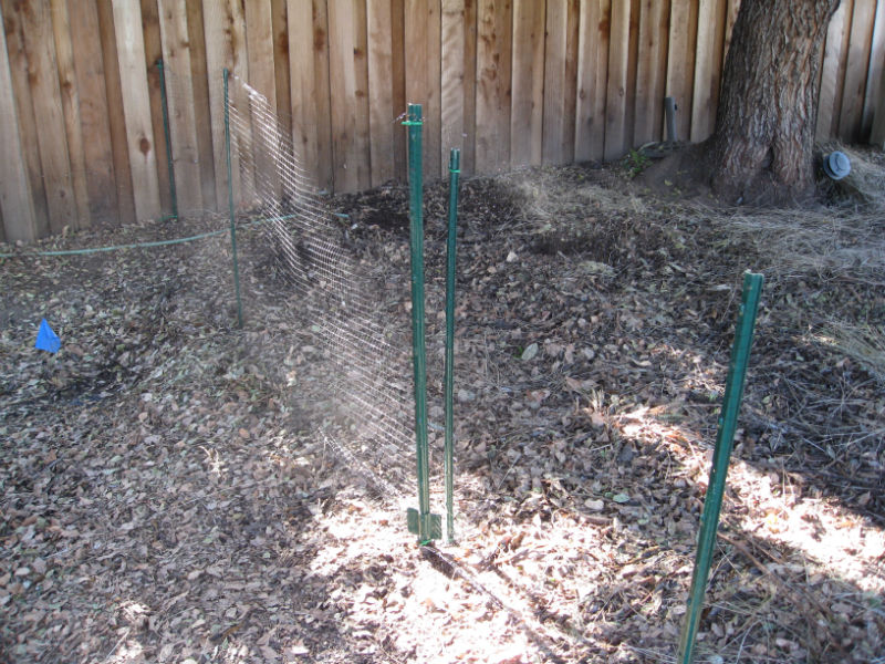 Metal stakes & bird netting keeps chickens from roaming afar.