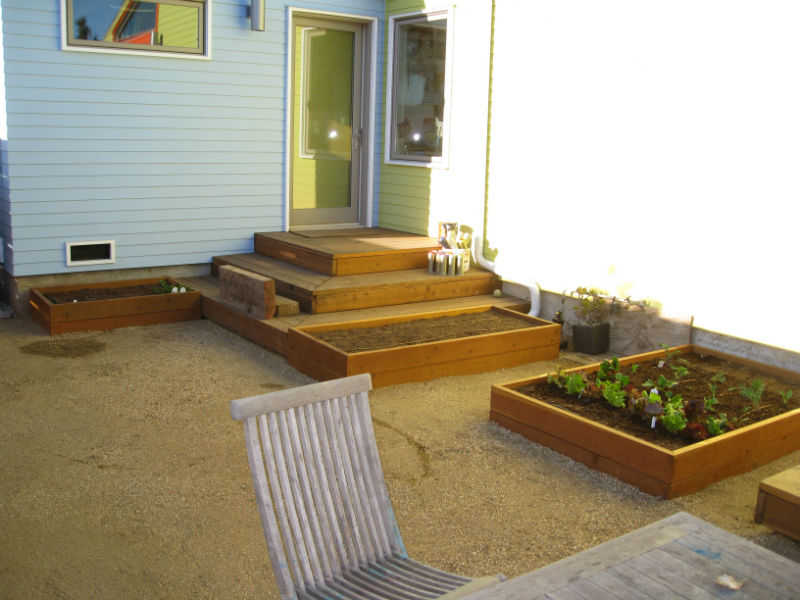 Read more about the article Family’s New Vegetable Garden