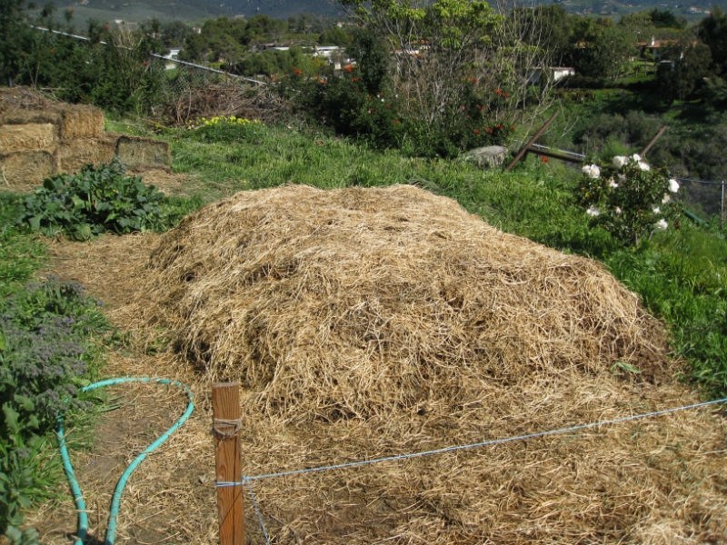 Linda's biodynamic compost pile.
