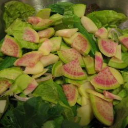 Recipe: Watermelon Radish  & Goat Cheese Salad