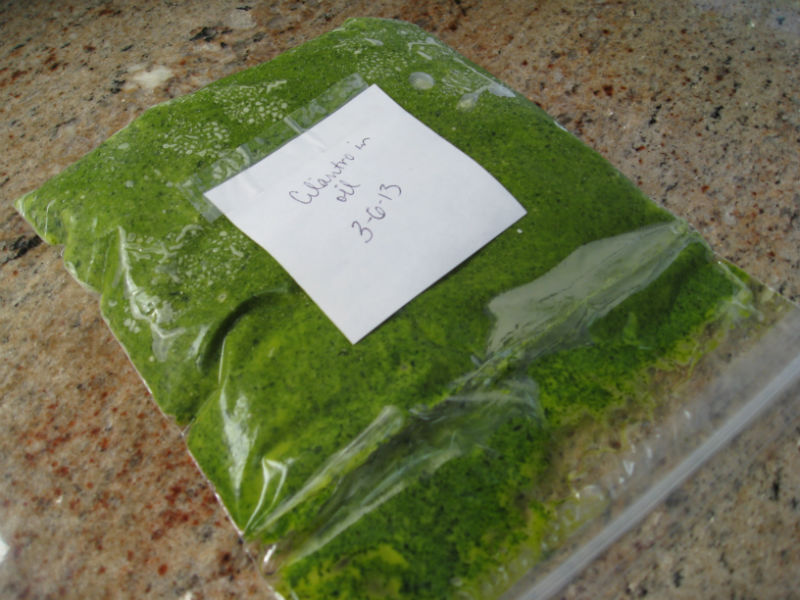 frozen cilantro and oil paste