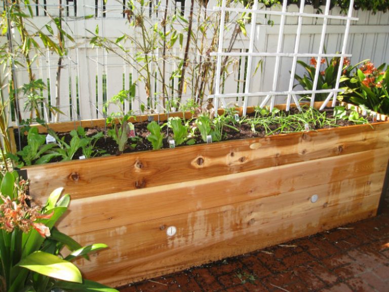 Easy Patio Garden Gardenerd