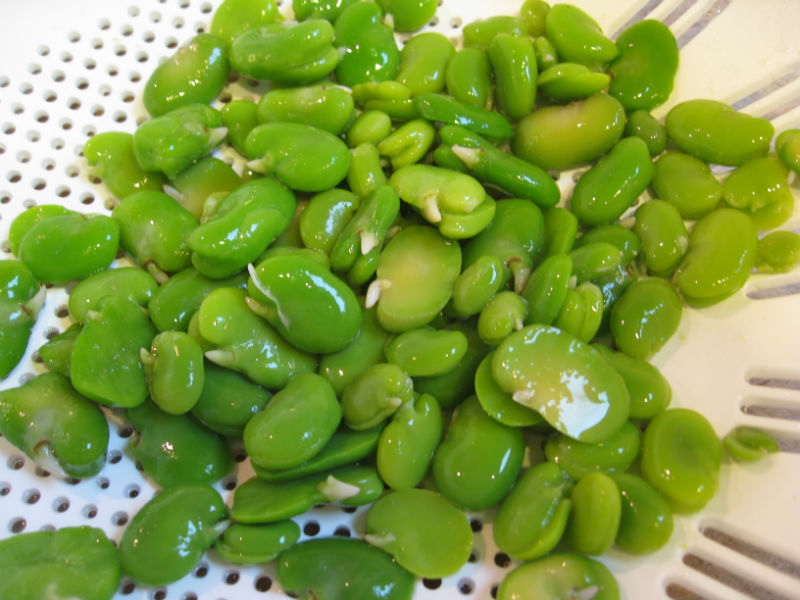 shelled fava beans