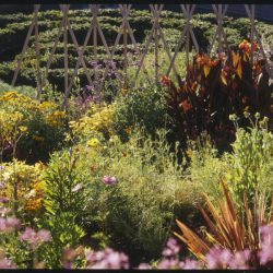 Gardens of the Getty