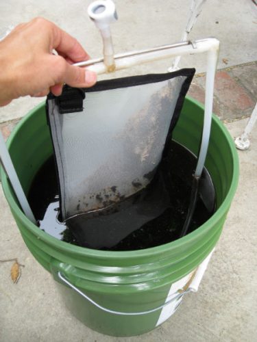 Read more about the article Brewing Compost Tea