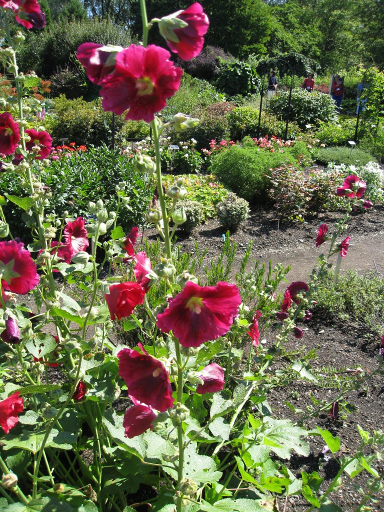 Charming flower gardens stretch across the property