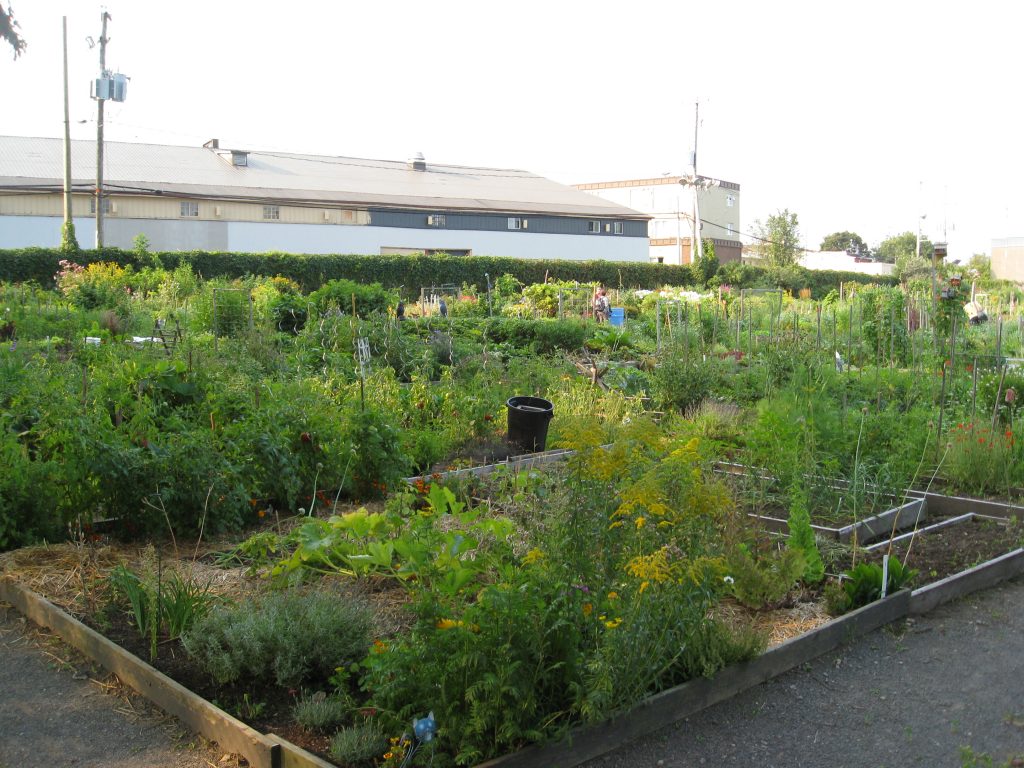 The view from one end of the garden