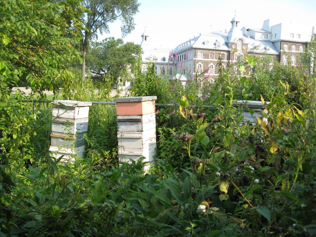 3 hives help pollinate the garden