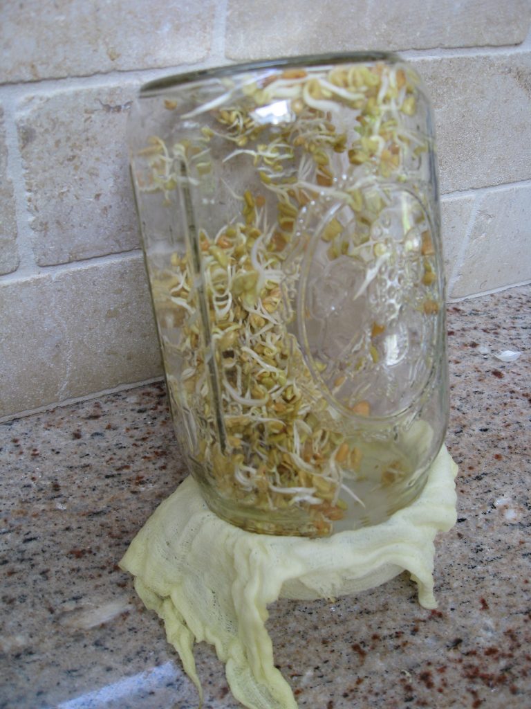 The cheesecloth will discolor over time from the seeds. 