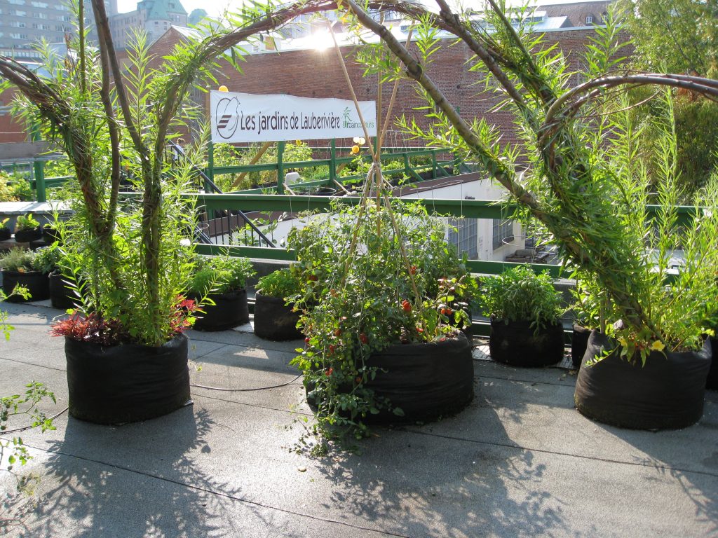 A sign welcomes guests to the garden. 