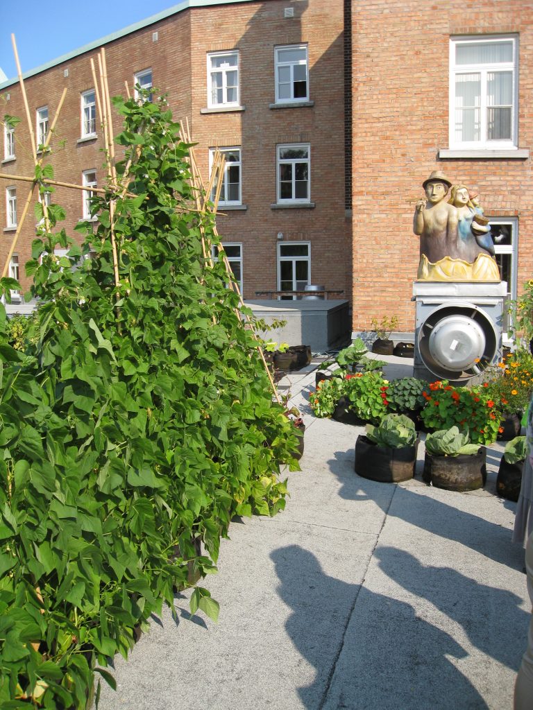 Beans in Smart Pots grow tall with bamboo trellises nearby a watchful sculpture.