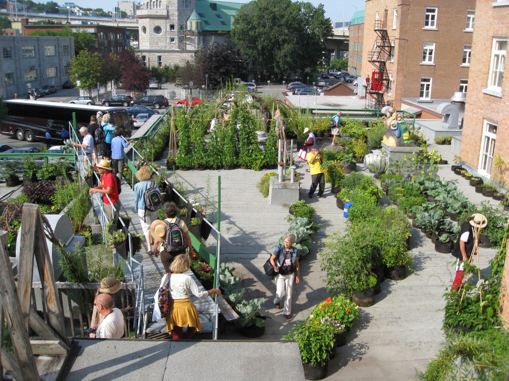 An elevated walkway guides visitors to the main part of the garden.