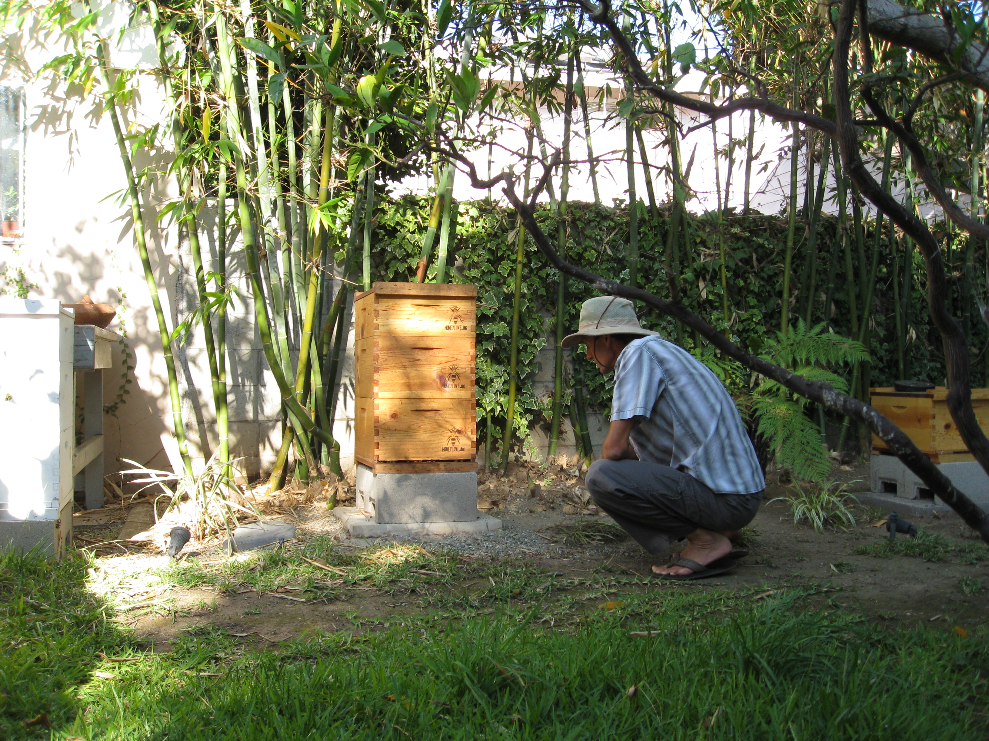 Michael approaches a hive to observe