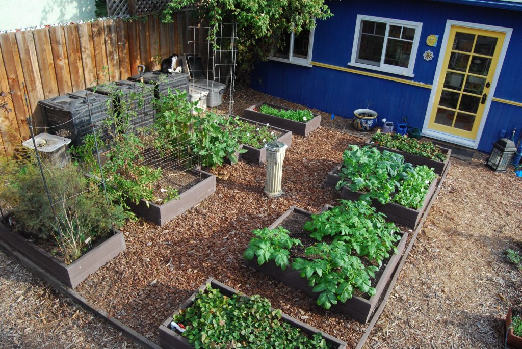 Our test garden kicks into gear.