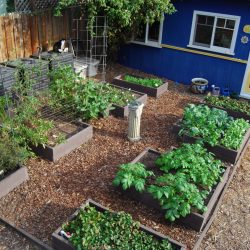 Gardenerd HQ Fall Test Garden Tour – Dec. 16, 2017