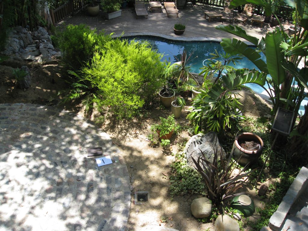 Circular patio with plants to be cleared for our new garden.