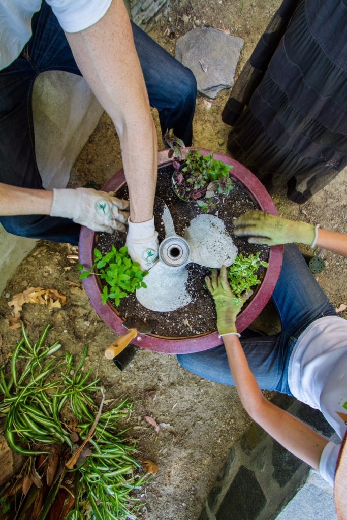 An old propeller is incorporated into the mint pot. Photo by Sarah Haywood.