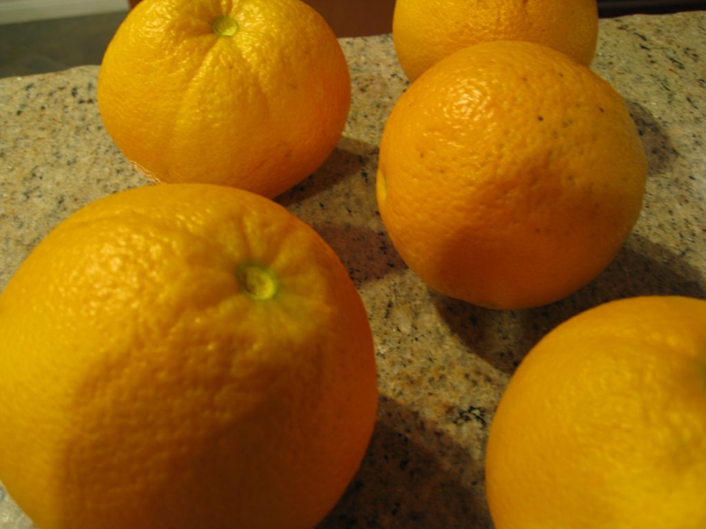 Navel oranges from our tree