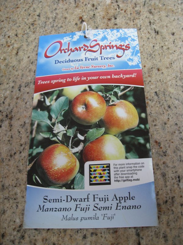 free fruit tree catalogs 60 free seed catalogs and plant catalogs for