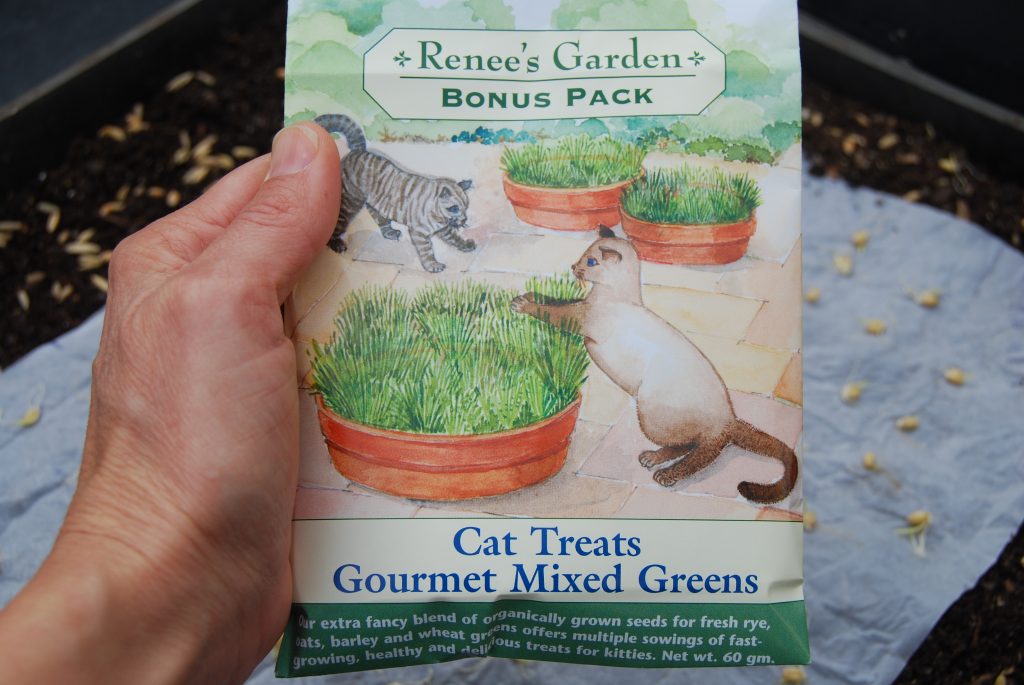 Cat grass seed comes in a bonus pack: more seed, happier cats!