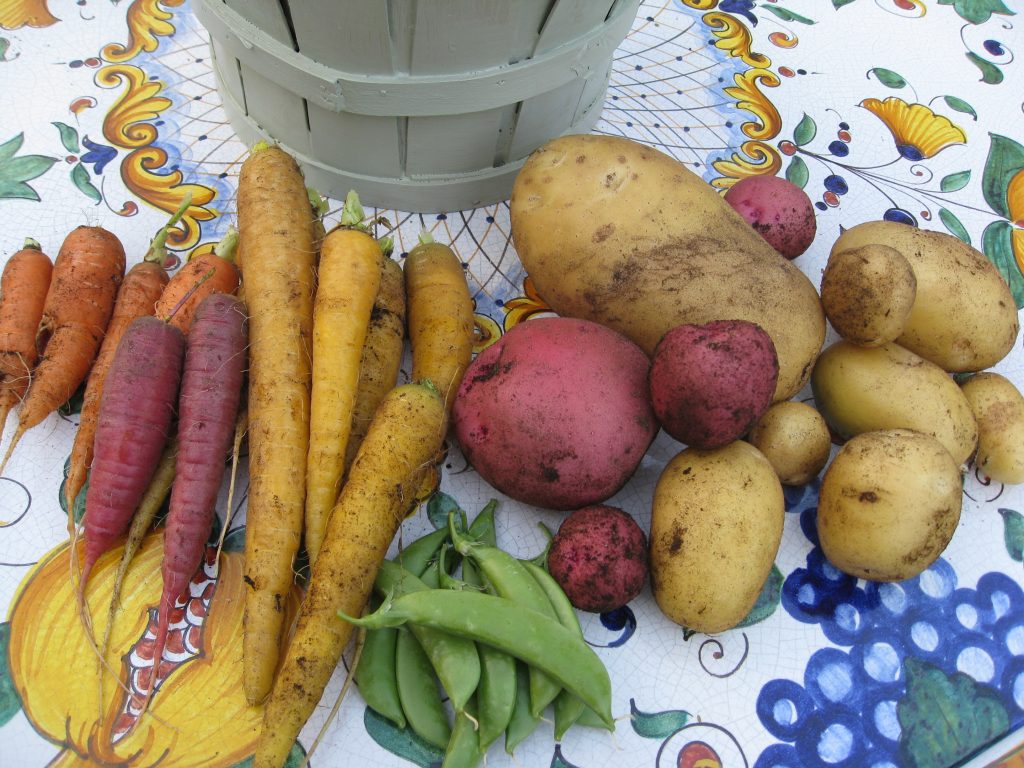 Whoever said gardening was boring just hasn't grown heirloom varieties yet.