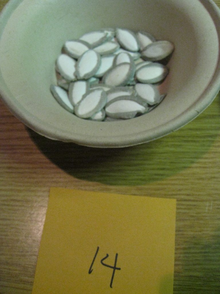Silver Edged pumpkin seeds