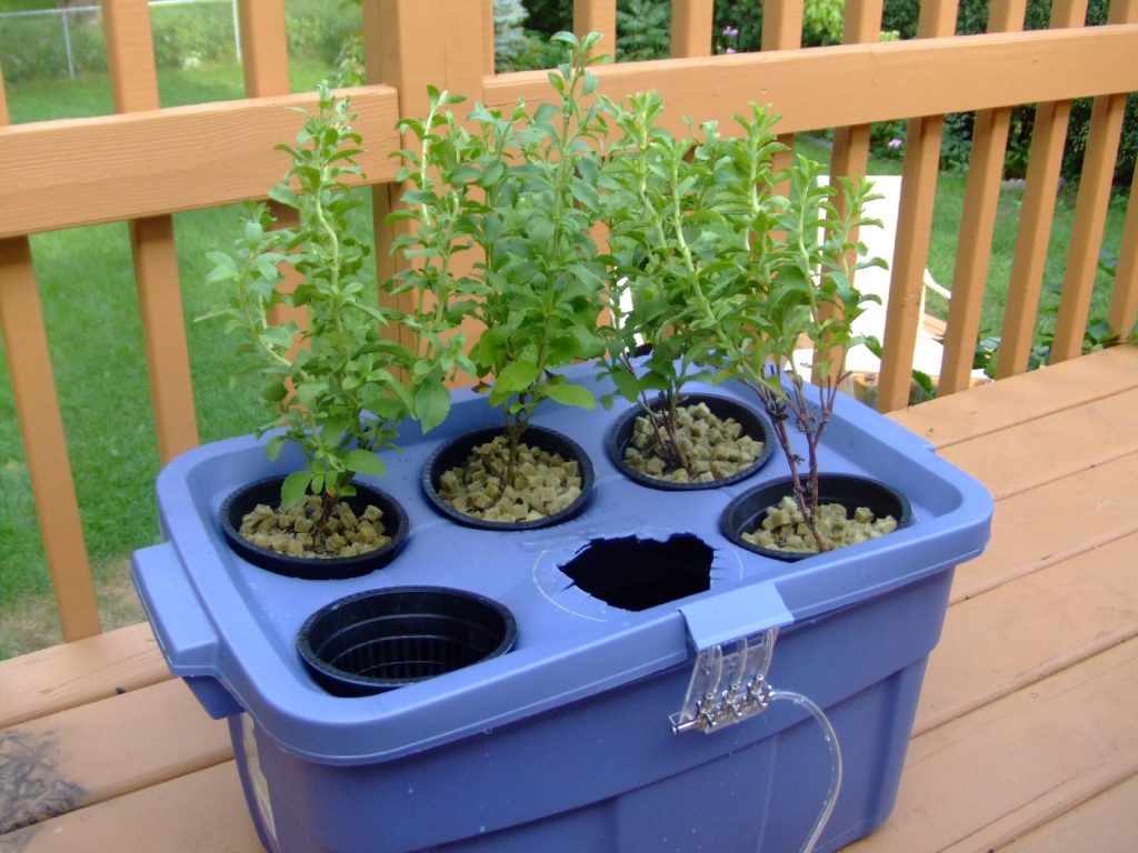 Grow herbs for easy access to fresh flavor