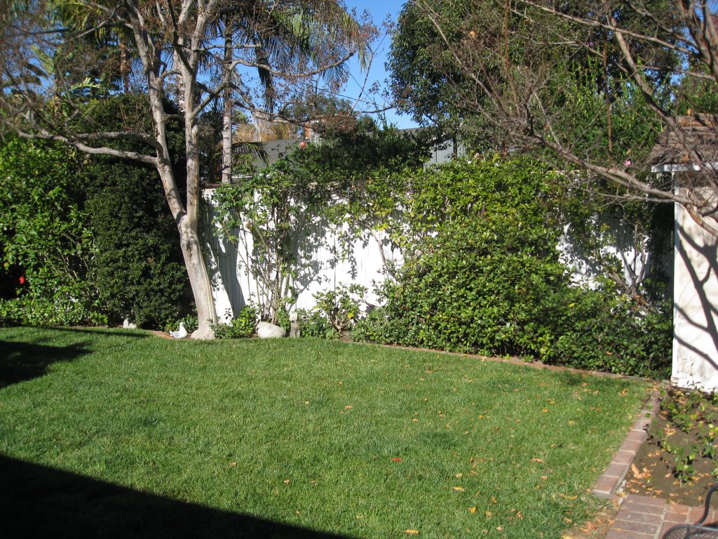 Grass and foliage take up the sunniest spot in the garden. 