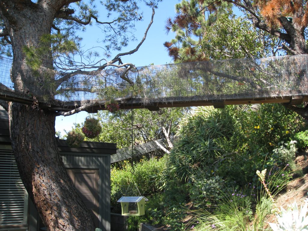 Interesting juxtaposition of cat ramp and bird feeders. Hmmm...