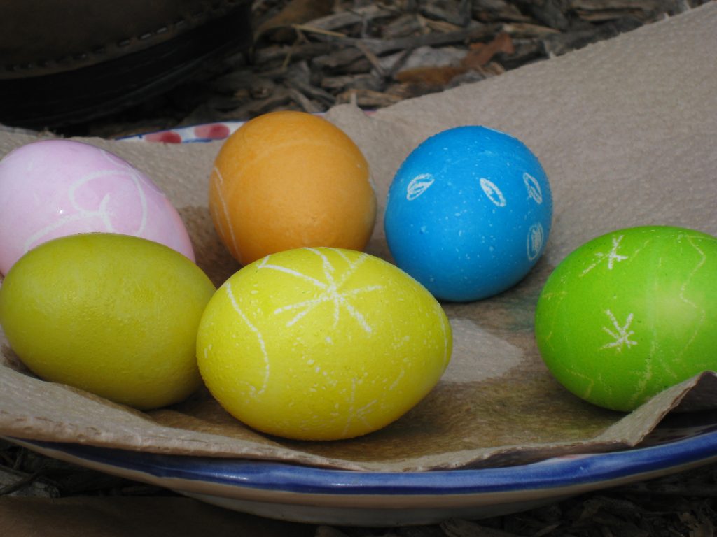 White eggs dyed for Easter (with 1 of our colored eggs mixed in). Can you tell which one? 