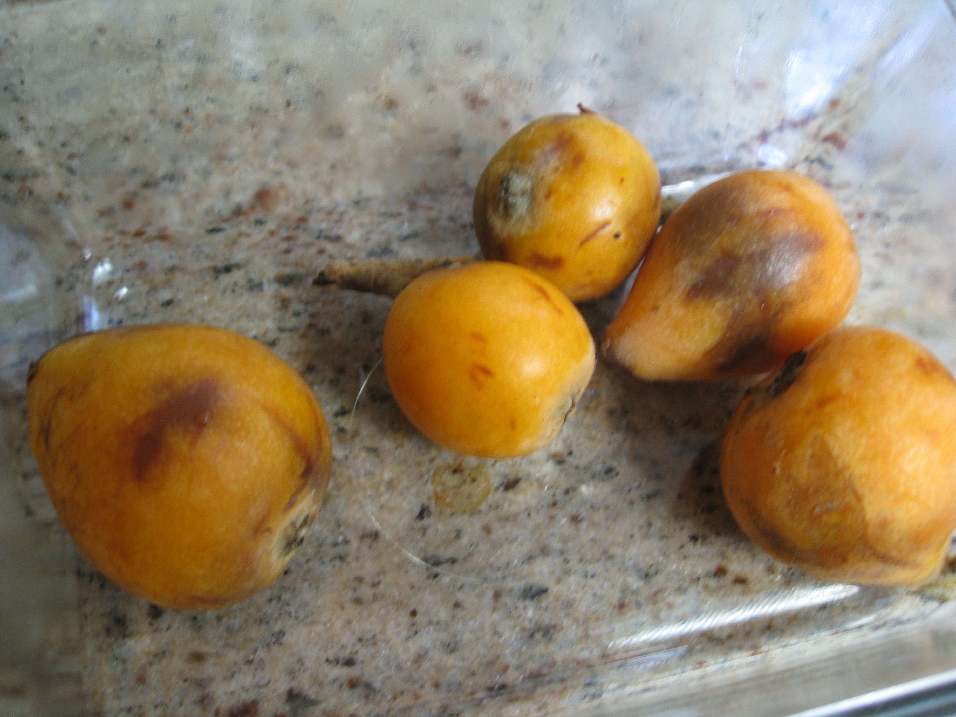 Loquats bruise easily, but they still taste delicious.