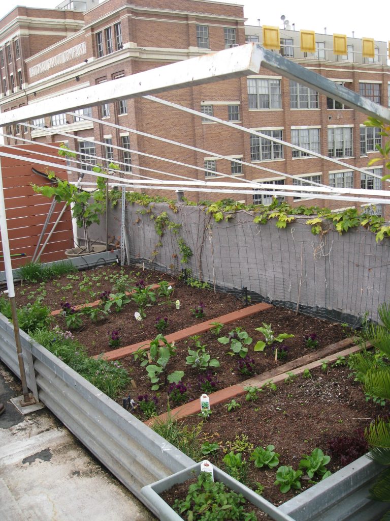 corrugated metal planters with a protective roof for either shade cloth or bird netting as needed