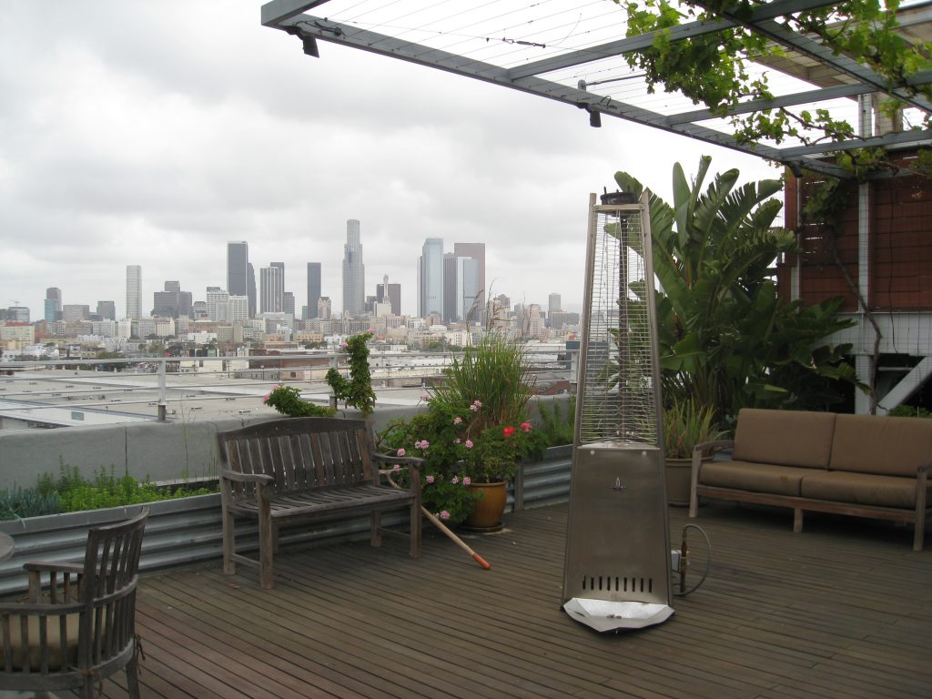 Founder of Linear City's rooftop garden
